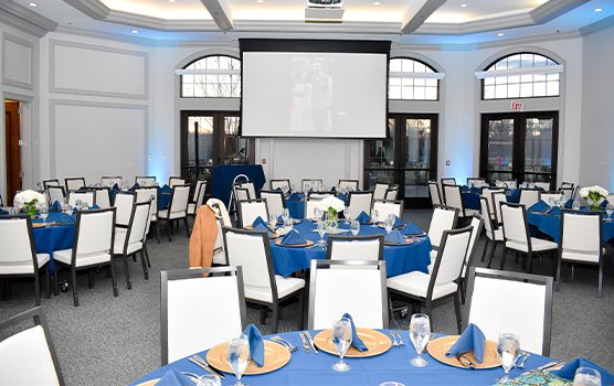 Image hover effect image