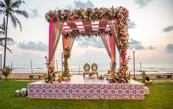 Image hover effect image